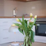 Mint&white Borik