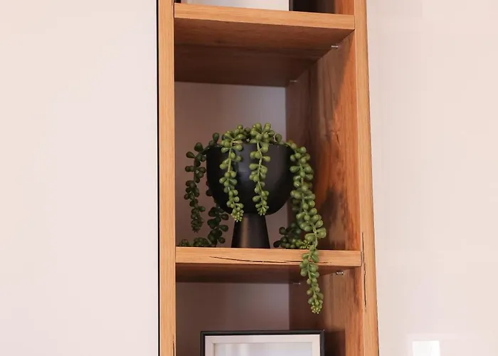 Mint&white Borik 바냐루카